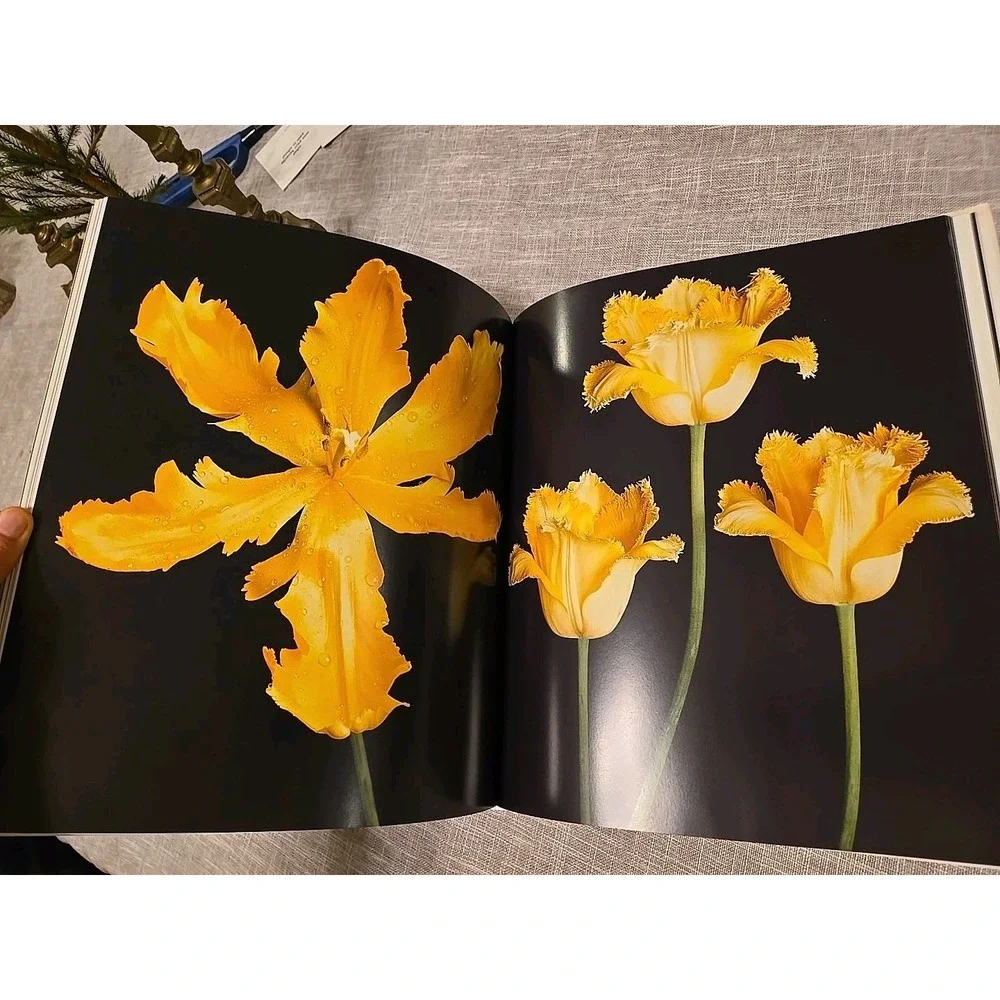 Tulips By Peter Arnold Forward By Sir Elton John Coffe Table Book Hardcover 2006
